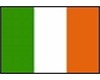 11 irish